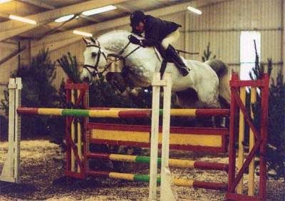Horse Jumpers For Sale